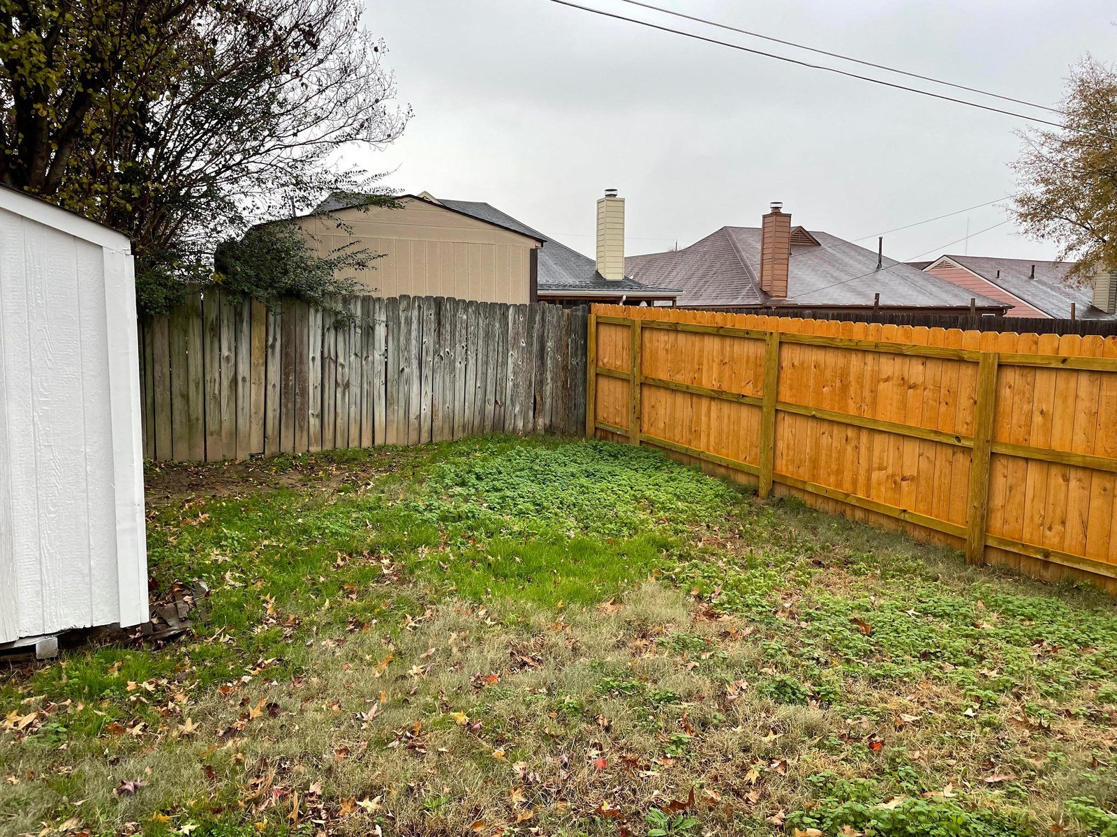 Before: plain backyard with wooden fences and overgrown grass